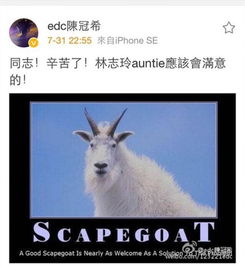 替罪羊什么意思
