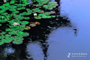 蒙蒙的细雨，蒙蒙的细雨还是濛濛的细雨