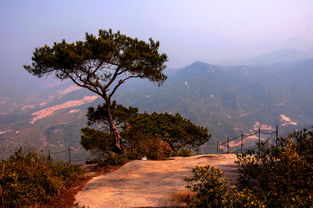 天成山位于哪里