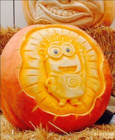 pumpkin中文是什么意思