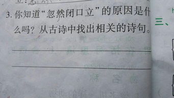 “忽然闭口立”的全诗是啥?