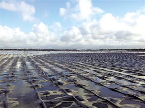 围垦的读音围垦的读音是什么