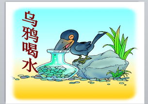 喝水的拼音是什么