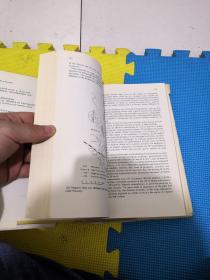 prospect是什么意思