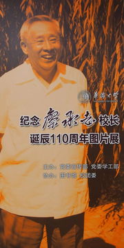 袁承志与袁崇焕的关系