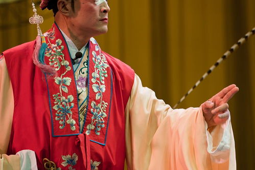 窦娥冤的故事简介 窦娥冤的故事简介是什么