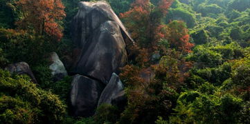 永安的旅游景点有哪些