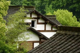 三舍是多少里，三舍指的是多少公里