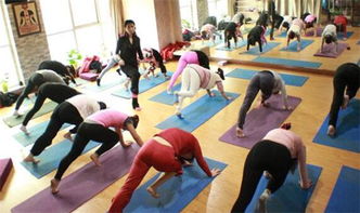 我是贺州的,想去南宁学瑜伽教练培训,哪里有呢?