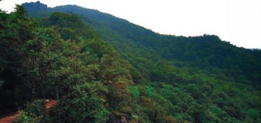 瓦岗山在河南哪里