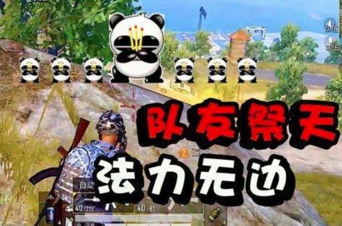 法力无边上一句是什么?