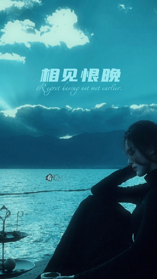 相见恨晚的歌词