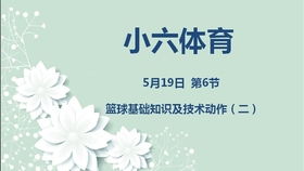 研究背景主要写什么