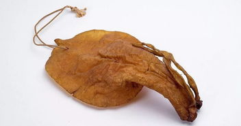 金钱鳘是什么?金钱鳘怎么读?