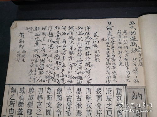 徐字组成的词语