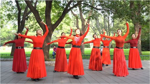 午后骄阳广场舞有缘人，广场舞有缘人藏族舞