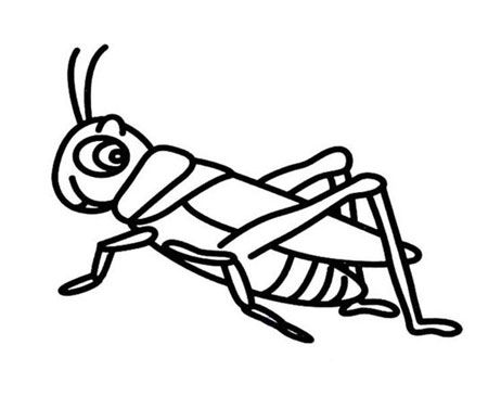 蝗虫简笔画图片，蝗虫简笔画 简单