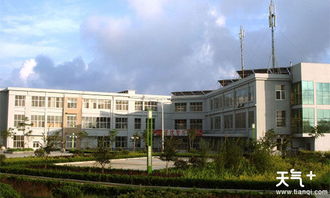 山东外国语职业技术大学专升本录取线