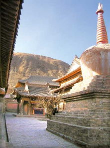 择日中日禄和宝光的关系