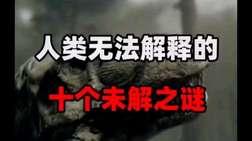 慰藉的意思，悬而未解的意思