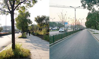 五常街道机关宿舍在哪个社区