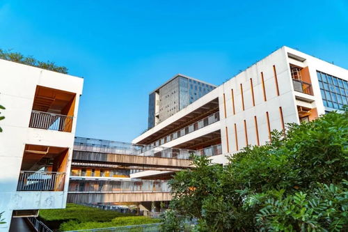 深圳信息职业技术学院入学门槛高吗?