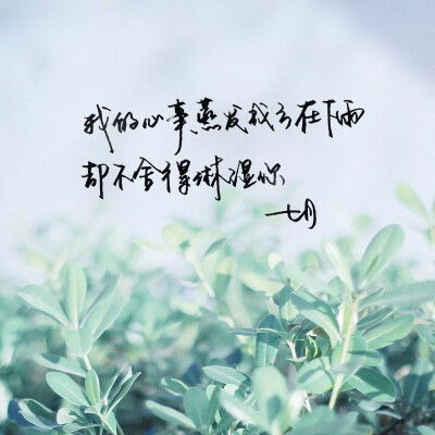 充满阳光的句子说说心情短语