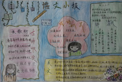 手抄报的内容有哪些?