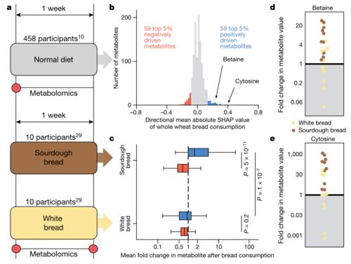 人世有代谢,往来成古今啥意思
