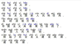 社会拼音怎么读，人类社会拼音