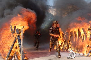 烈火金刚电视剧剧情 讲述的是什么故事