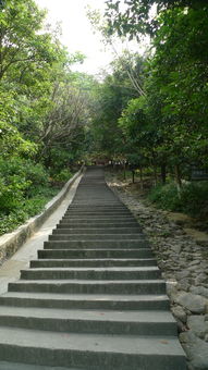 深圳凤凰山森林公园要门票吗，深圳凤凰山森林公园几点关门