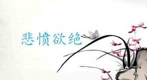 悲愤是什么意思