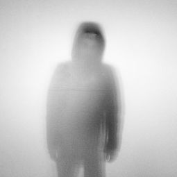 wonder-ed是什么意思