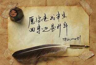 相见恨晚歌词歌词,相见恨晚歌词