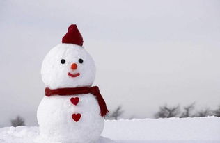 堆雪人的英语单词