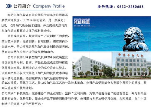 bog什么意思中文翻译