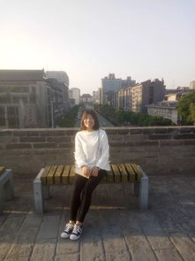 高越的咏鹰古诗的意思