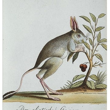 动物学专业，动物学专业就业前景怎么样