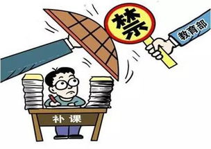 假如初三不再补课_900字
