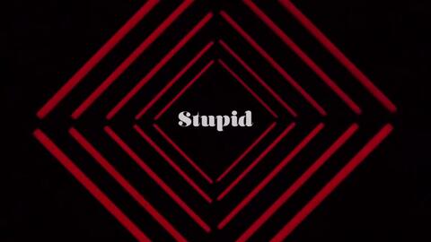 stupid的反义词1个，stupid的反义词前缀