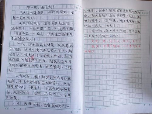 关于什么的那一刻作文500字汇总