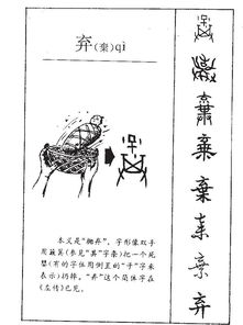 弃字组词有哪些