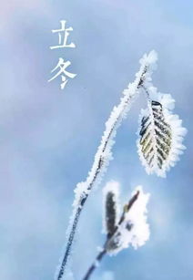 “蒙蒙的”怎么组词?