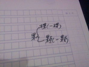 篇的组词2个字，遍的组词