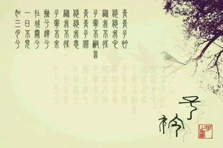 青青子衿,悠悠我心什么意思