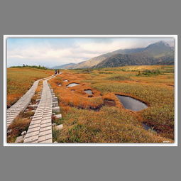 沿途有你粤语版，沿途有你 歌词