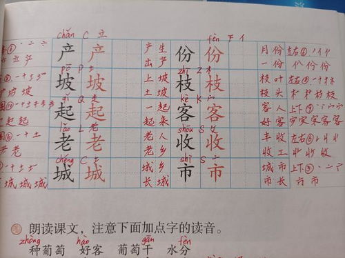 一类字和二类字的区别是什么?