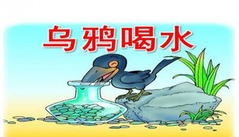 喝水的读音是什么