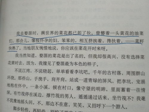 短文章100字左右励志，短文章100字左右二年级